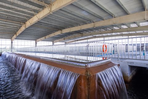 怎么保养多功效微型过滤机？？？？？？